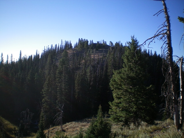 Dry Creek Peak (forested hump in center) as viewed from the ridge to its northwest. Livingston Douglas Photo 