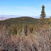 Peak 6323 viewed from Dry Buck Mountain.