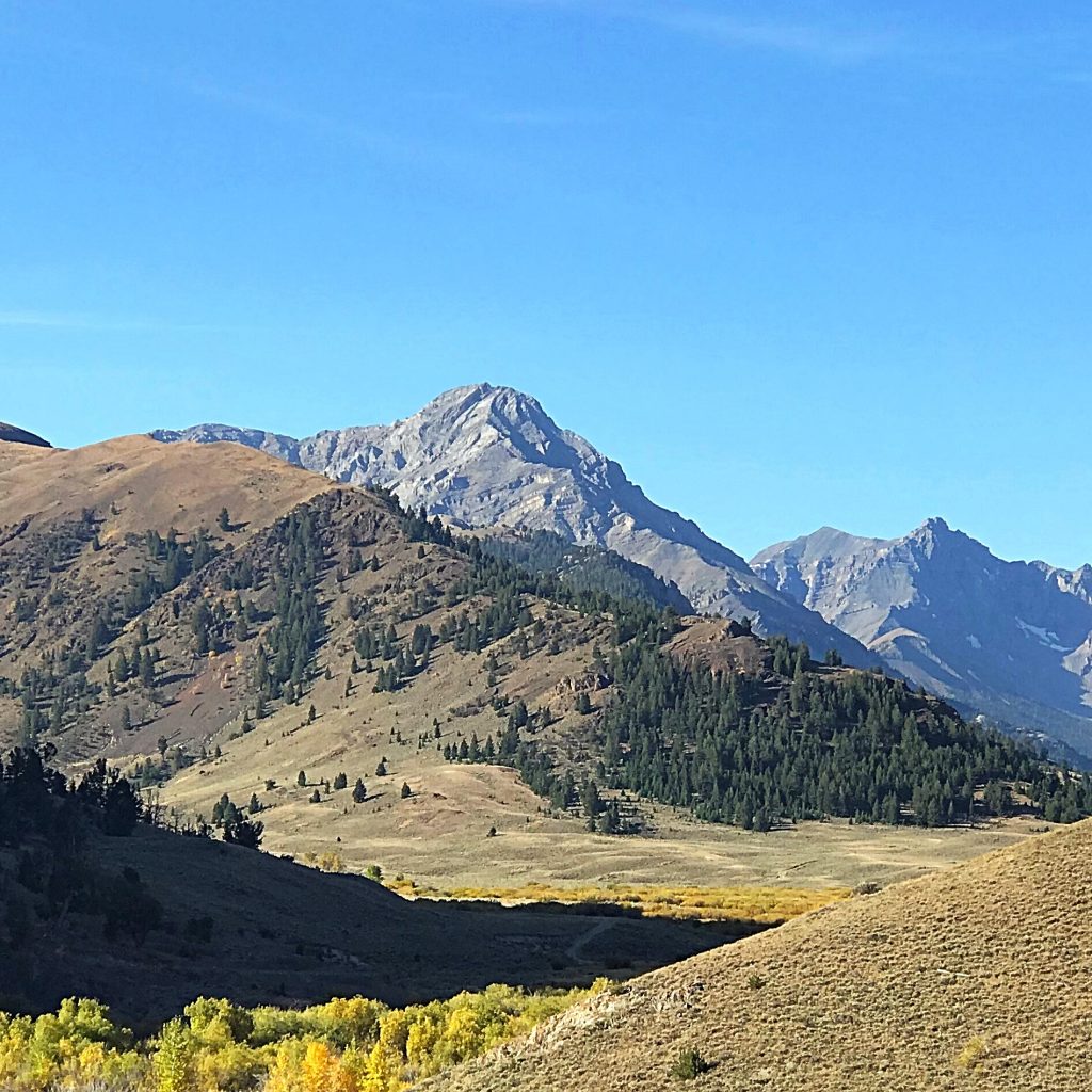 Ferguson Peak (left of center) viewed from Dry Creek.