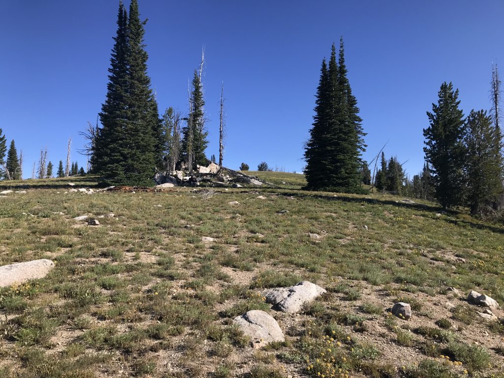 Looking north to the summit of Little Baldy.