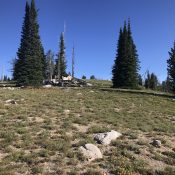 Looking north to the summit of Little Baldy.