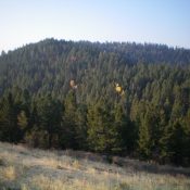 Peak 7620 South (forested, mid-ground) as viewed from the north. Its summit is left of center. Livingston Douglas Photo