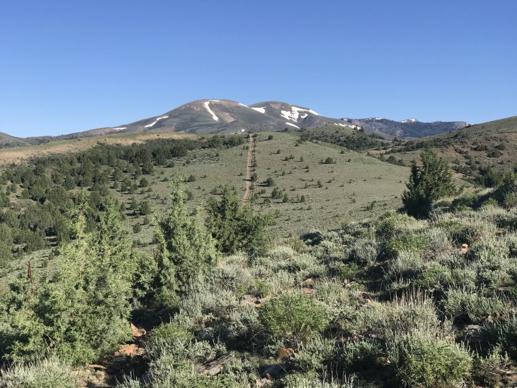 The ATV trail, C310 climbing up the ridge between Toy Pass and Peak 6499 (Mercury Peak).