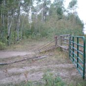 The cattle fence crossing on the summit ridge of Windy Ridge. The summit is in the thick forest in the background. Bring a machete. Livingston Douglas Photo