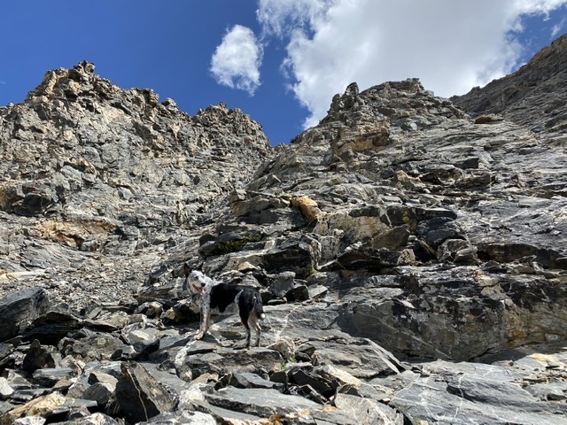 This excellent scrambling zone makes the route worthwhile for those up to the challenge of getting to it. Derek Percoski