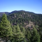 Peak 7750 (dead center) and the open pine forest on its north face/ridge. Livingston Douglas Photo