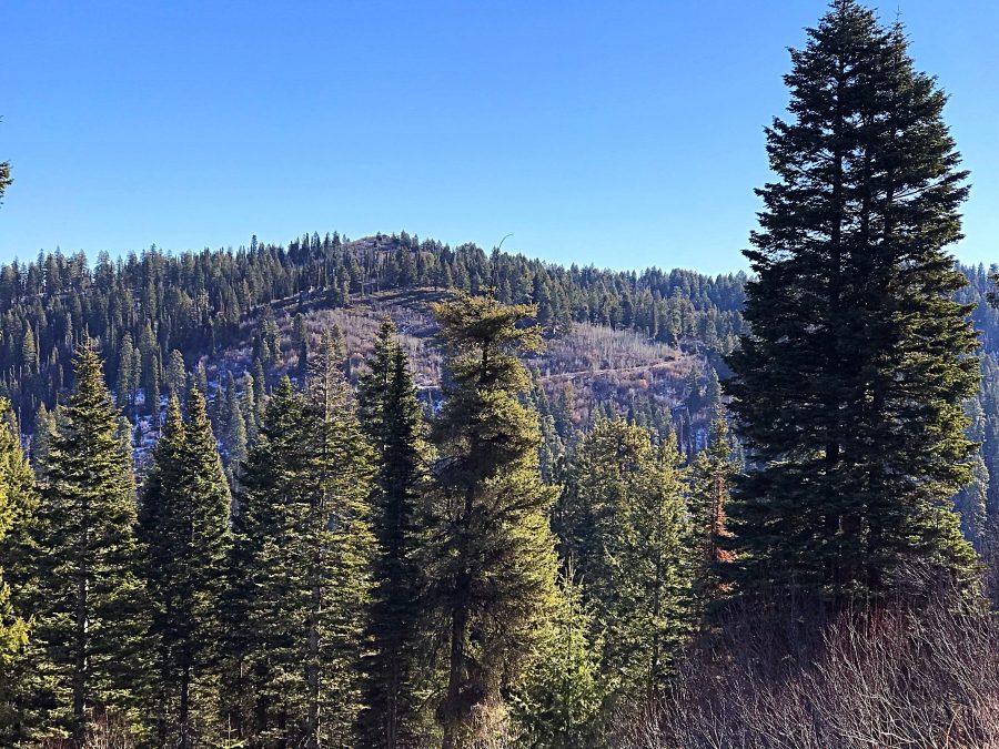 Dry Buck Mountain viewed from the west.