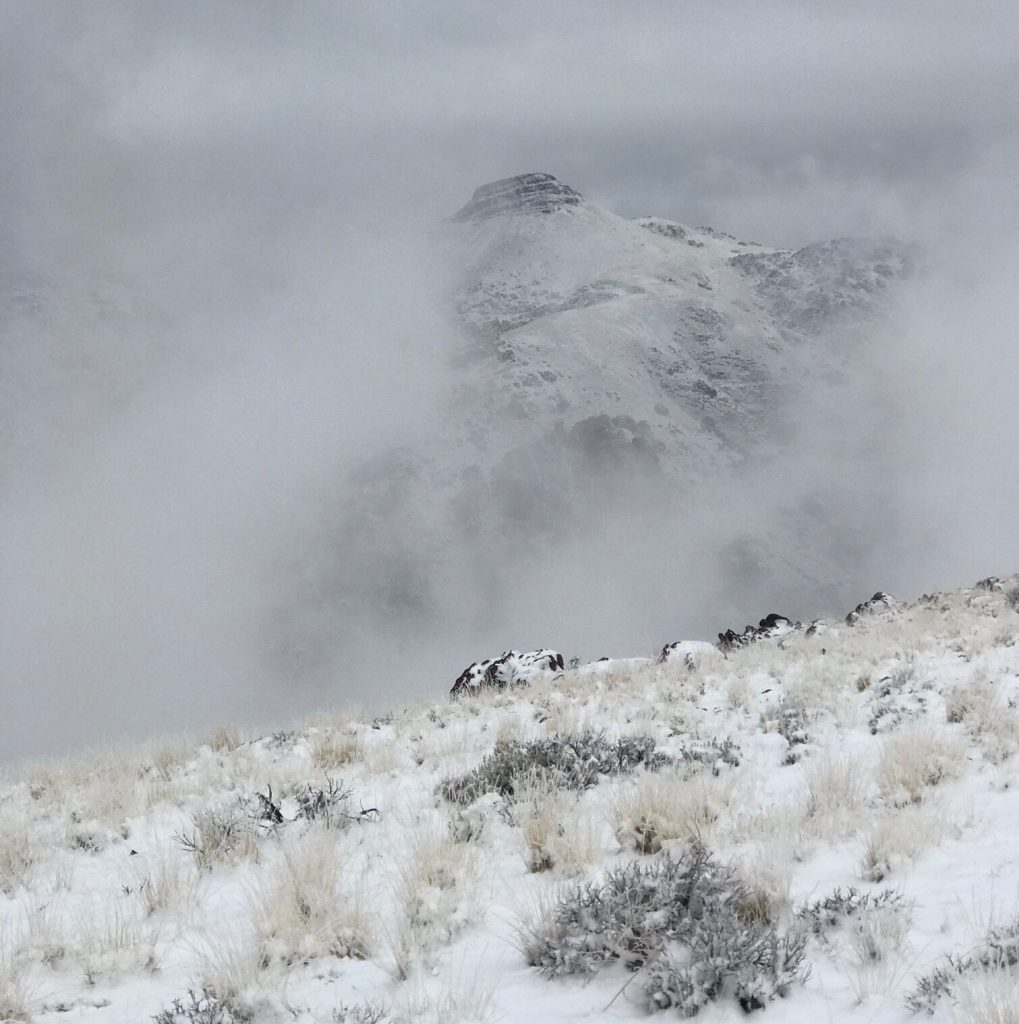 Soldier Cap from near the summit of Reynolds Peak on a snowy March day.