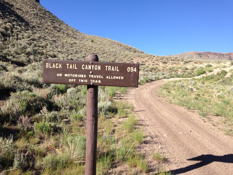 The USGS maps call the canyon Mud Lake Canyon but the Forest Service calls the trail the Black Tail Canyon Trail. It is passable for ATVs and self propelled travel. This sign is found just off the main road.