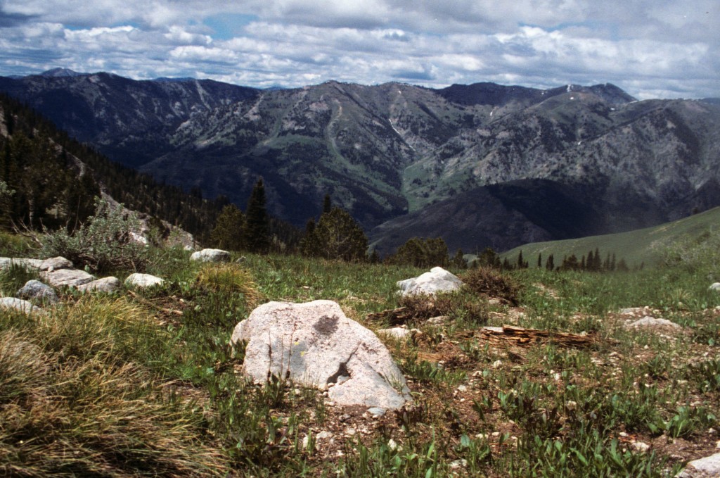 Boise mountain terrain ranges from deep canyons to high ridges. This photo is from the slopes of Newman Peak looking north.