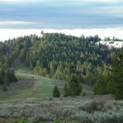 Flag Knoll (the summit is left of center) as viewed from nearby Beaver Ridge to the northwest. Livingston Douglas Photo