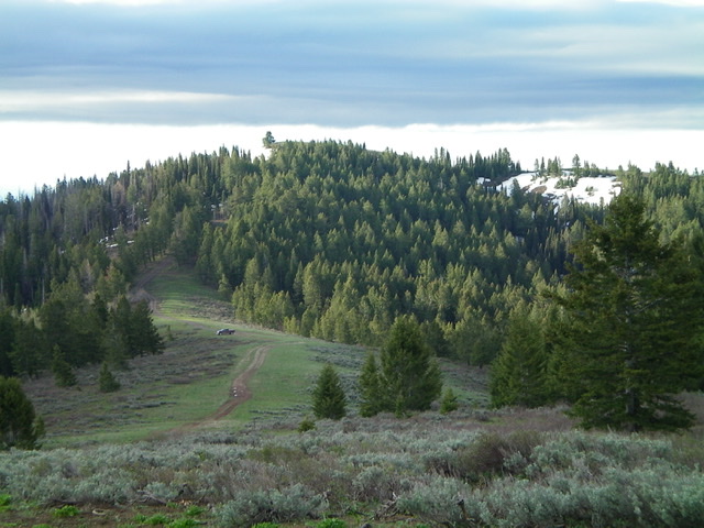 Flag Knoll (the summit is left of center) as viewed from nearby Beaver Ridge to the northwest. Livingston Douglas Photo 