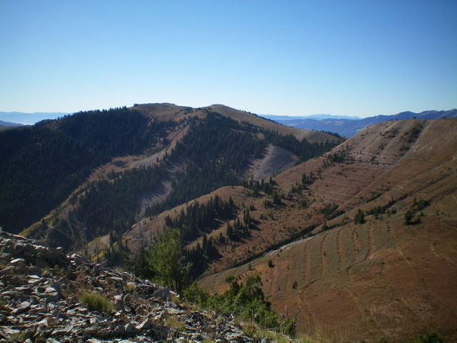 Peak 9285 (center and left of center) as viewed from Peak 9142 to the northwest. Livingston Douglas Photo 