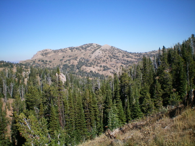 Peak 9584 as viewed from the Continental Divide to its south. Livingston Douglas Photo 