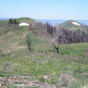 The [lower] Southwest Summit (left) and Point 7967 (right) as viewed from the summit of Peak 8074. Livingston Douglas Photo