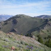 Peak 8603 (far left), its Southeast Ridge (leading up to it from the right), and the rocky South Segment of the ridge (right of center) coming up from the connecting saddle with Peak 8383. Viewed from the summit of Peak 8383. Livingston Douglas Photo