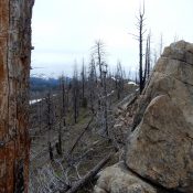 Phoebe Peak. John Platt Photo