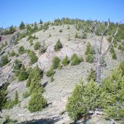 Peak 8963 as viewed from the East. Livingston Douglas Photo