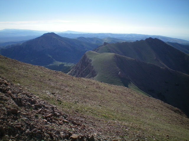 Knob Mountain (in mid-ground at center) with Cobble Mountain to its right. Livingston Douglas Photo 