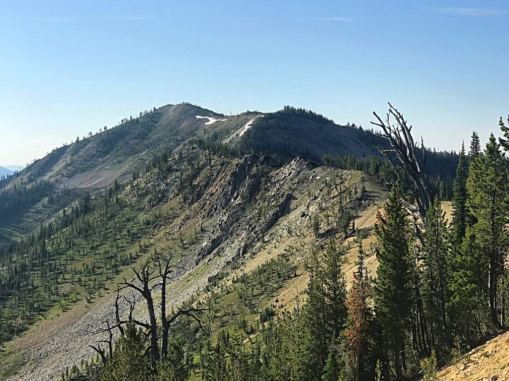 Mount Eldridge viewed from just above Elk Summit.