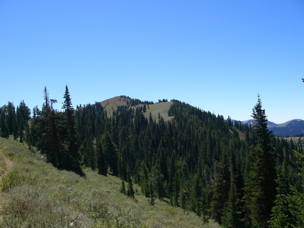 Cub Mountain. Matt Durrant Photo