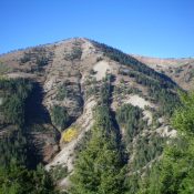 Peak 9142 and its northeast ridge (my ascent route) as viewed from the northeast. Livingston Douglas Photo