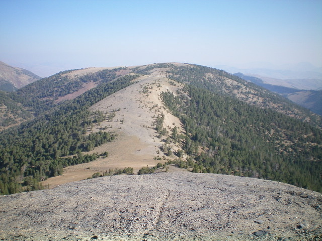 Reentrant Peak and its wide, gentle south ridge. Livingston Douglas Photo 