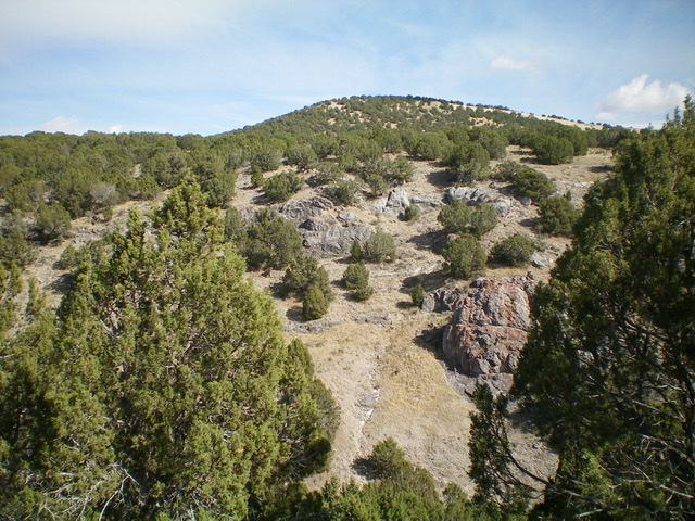 Peak 5641 and its juniper-clad west ridge and west face. Livingston Douglas Photo 