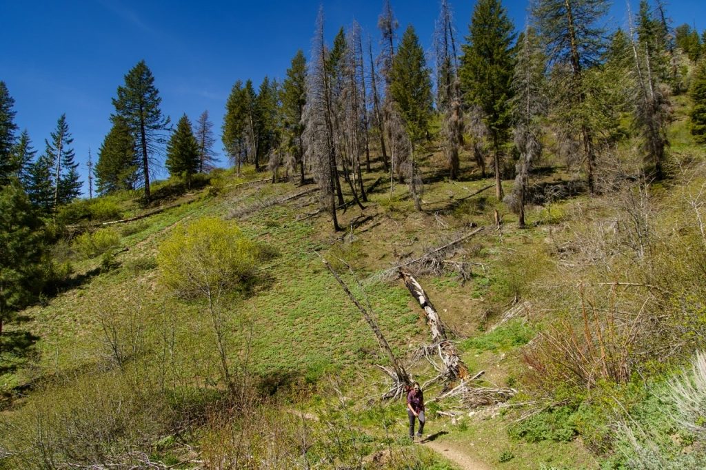 FST-177 on the climb up. Anna Gorin Photo