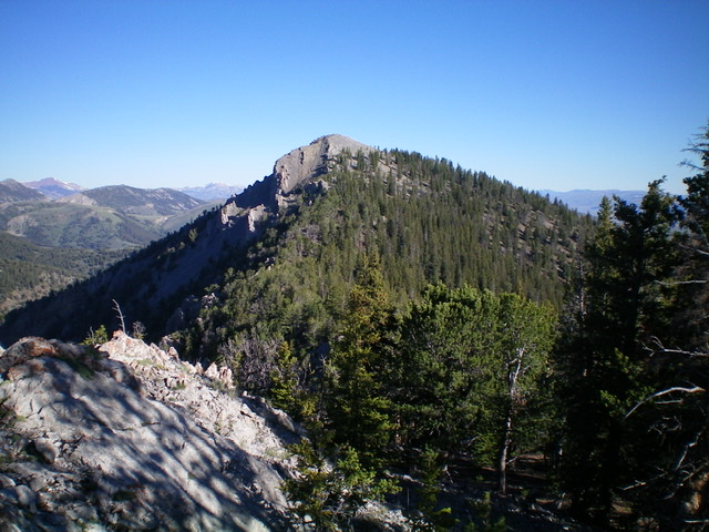 Fritz Peak as viewed from the rock-and-forest, choppy southeast ridge. Livingston Douglas Photo 