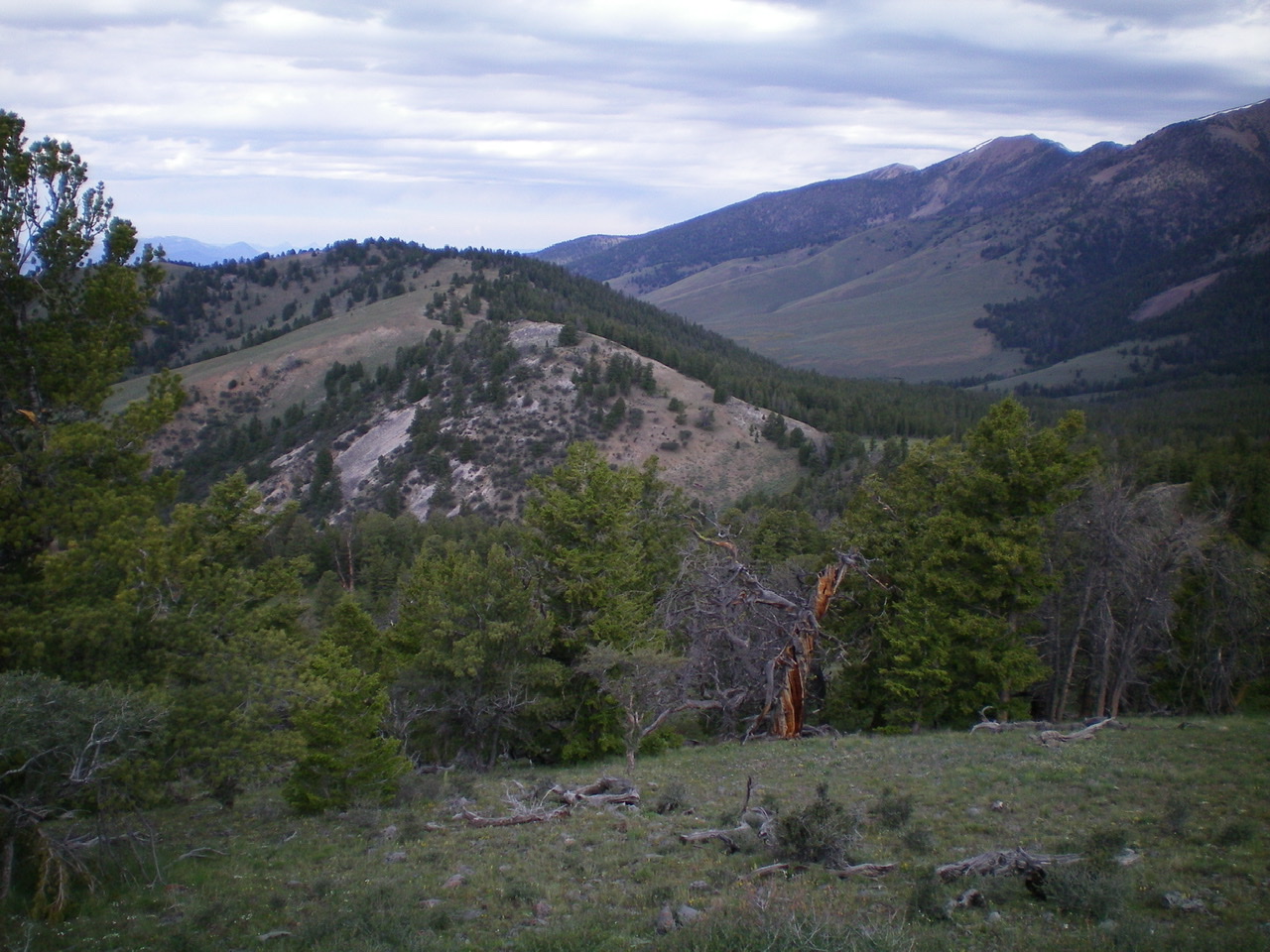 Peak 8792 and its East Ridge (left of center). Livingston Douglas Photo 