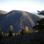 Peak 8773 as viewed from the south, from the summit area atop Peak 8613. Livingston Douglas Photo