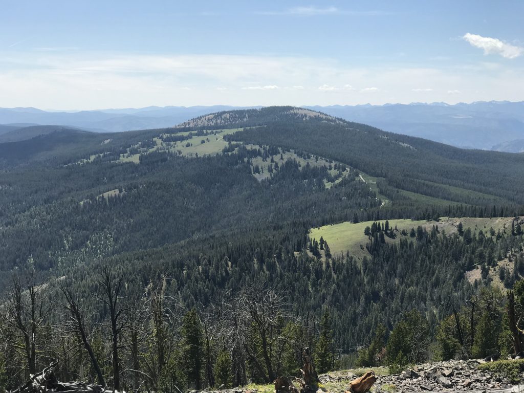 Phelan Mountain viewed from Baldy.