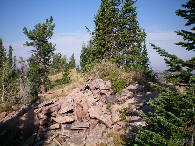 The summit of Red Benchmark. Livingston Douglas Photo 