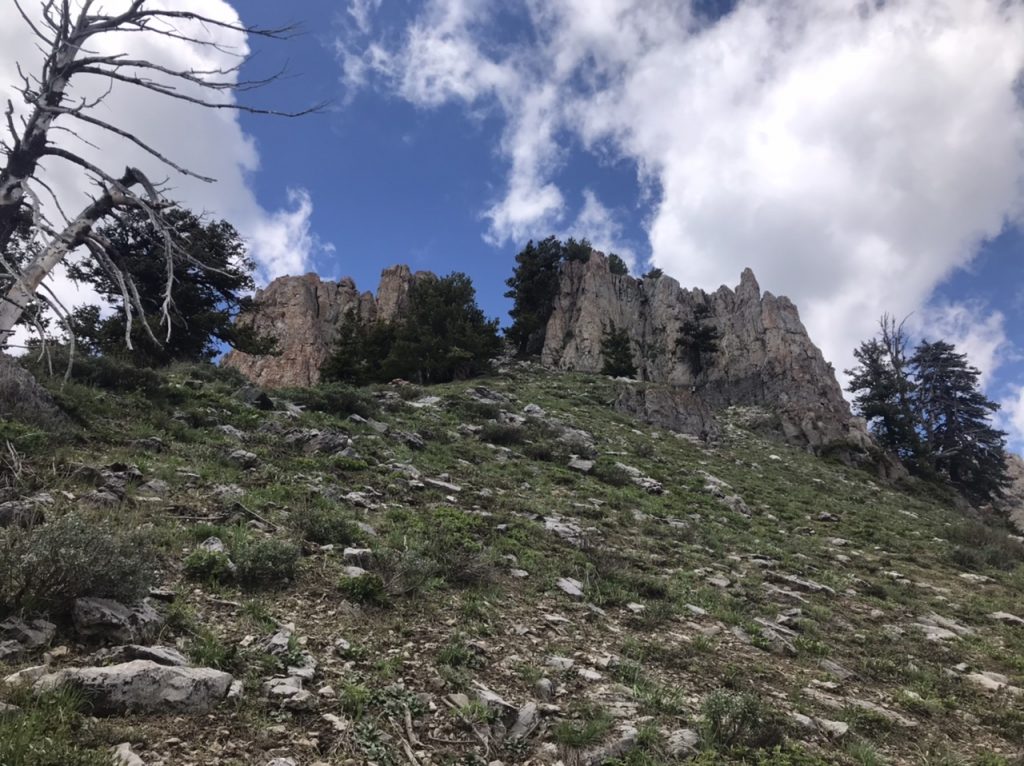 The Class 2 gully on the south ridge described by Livingston Douglas.