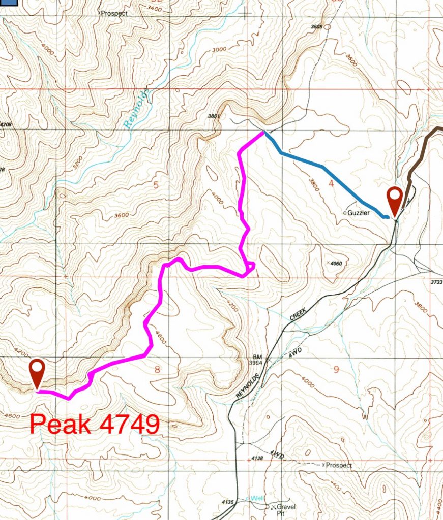 My GPS track. The blue is the driving route from the Reynolds Creek Road to the parking area. The pink, the hiking route.