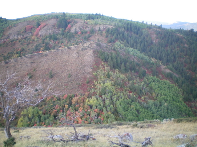 Peak 7100 and its aspen-clogged northeast ridge, as viewed from Peak 6958 to the northeast. Livingston Douglas Photo 