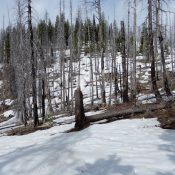 Approaching the summit. John Platt Photo