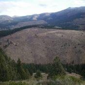 Peak 6544 (mid-ground) as viewed from the southwest. The summit is left of center, next to the forest line. Livingston Douglas Photo