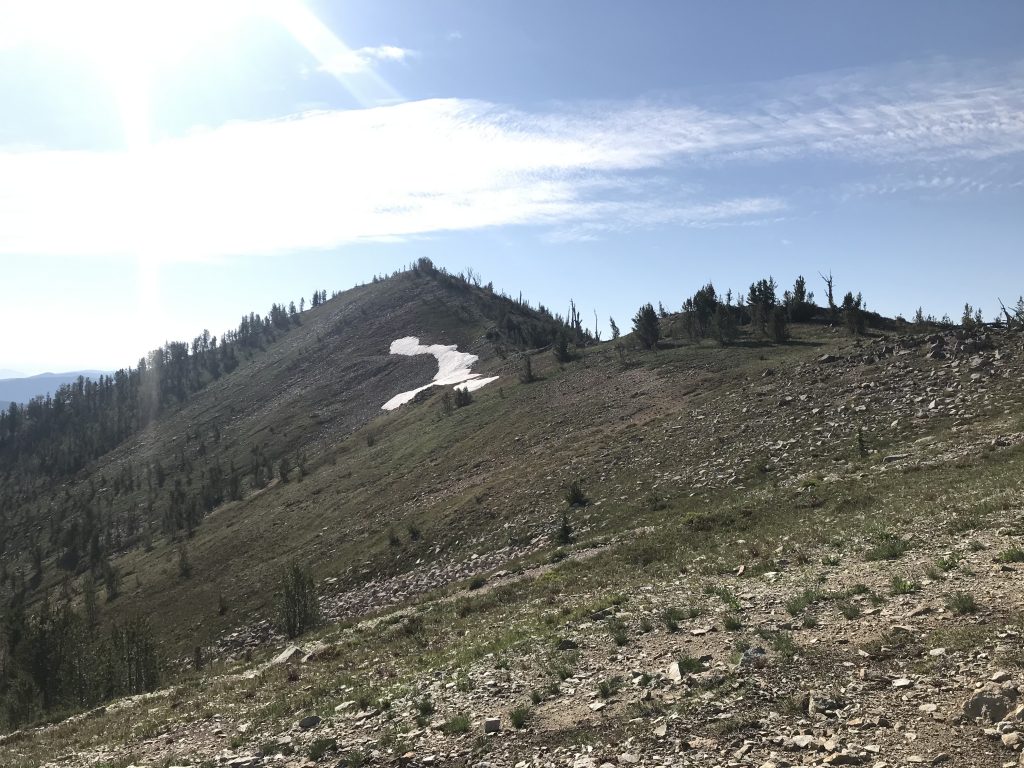 The upper slopes of Mount Eldridge.