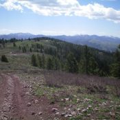 Point Lookout as viewed from the northwest along the ridge. The summit is on the forested hump left of center in mid-ground. The summit is on open ground behind the forest. Livingston Douglas Photo