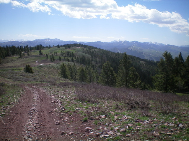 Point Lookout as viewed from the northwest along the ridge. The summit is on the forested hump left of center in mid-ground. The summit is on open ground behind the forest. Livingston Douglas Photo 