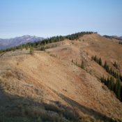 The true/middle summit of Black Mountain as viewed from the south summit/Lower Black Benchmark. The true summit is right of center. Livingston Douglas Photo