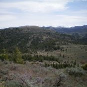 Mahogany Ridge (mid-ground) as viewed from the summit of Peak 7340 to its west. Livingston Douglas Photo