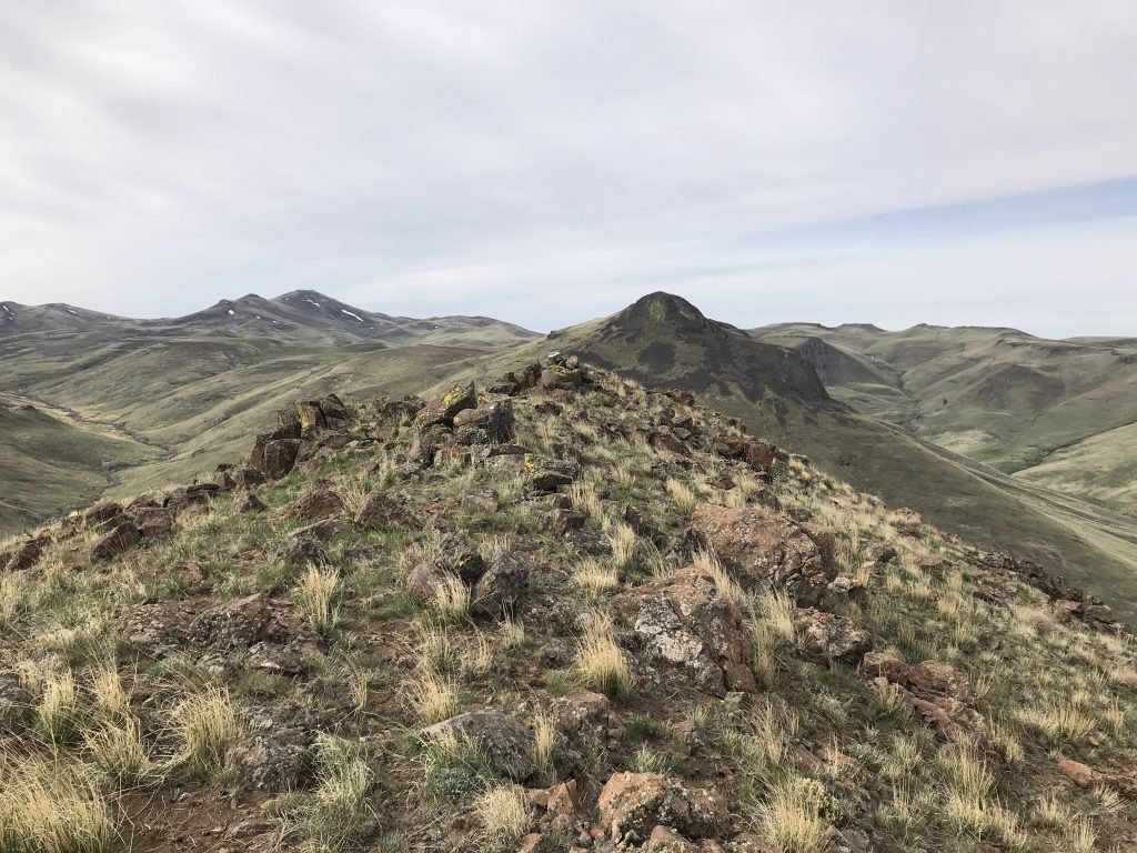 Dryden Peak’s summit looking south to Piute Butte.