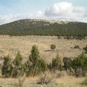 Peak 5641 is a flat-ridged summit, as viewed from the parking area on FSR-049 to its southwest. The summit high point is at the left/northwest end of the juniper-clad summit plateau. Livingston Douglas Photo