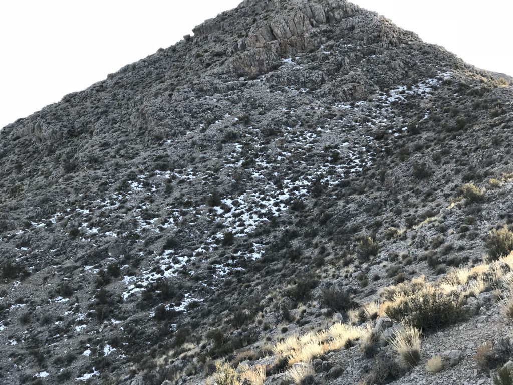 Hiking up the north ridge we spotted agroup of well camouflaged deer crossing over the ridge.