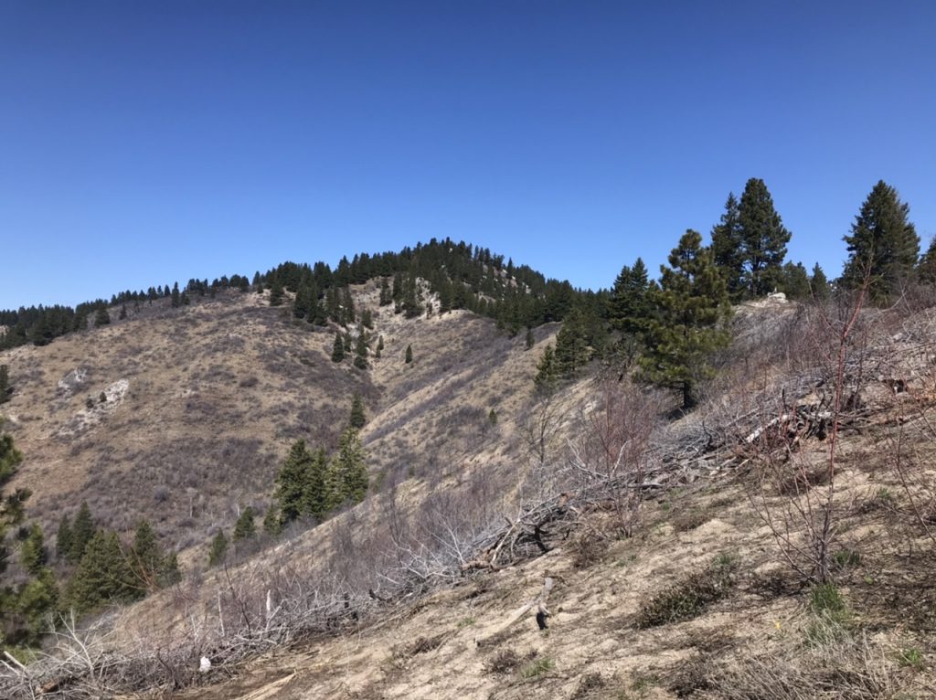 The first view of the summit from the Southeast Ridge.