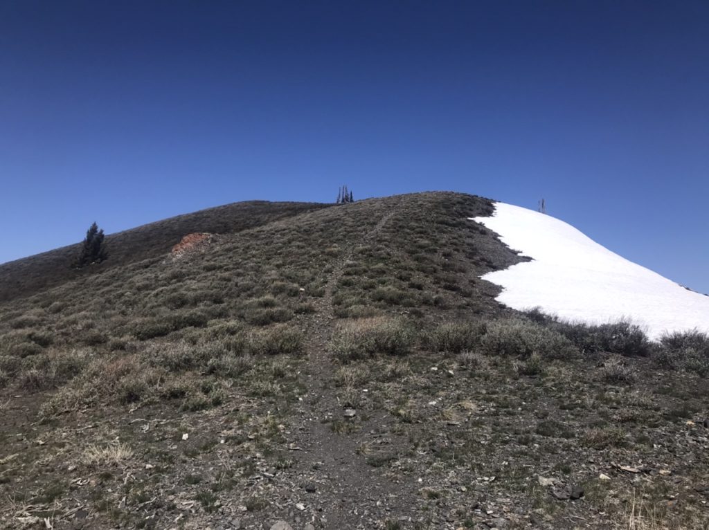 The final stretch to the summit follows this unofficial trail.