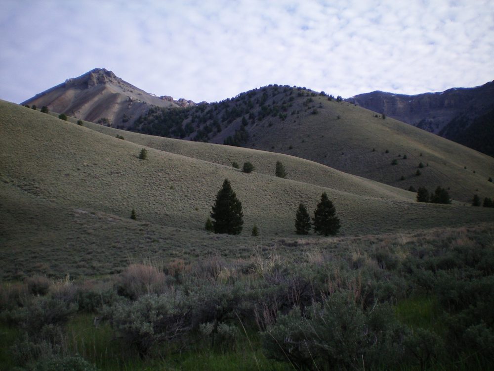 The rolling Southeast Ridge as viewed from the meadow at its base. The summit of Peak 10604 is left of center. Livingston Douglas Photo